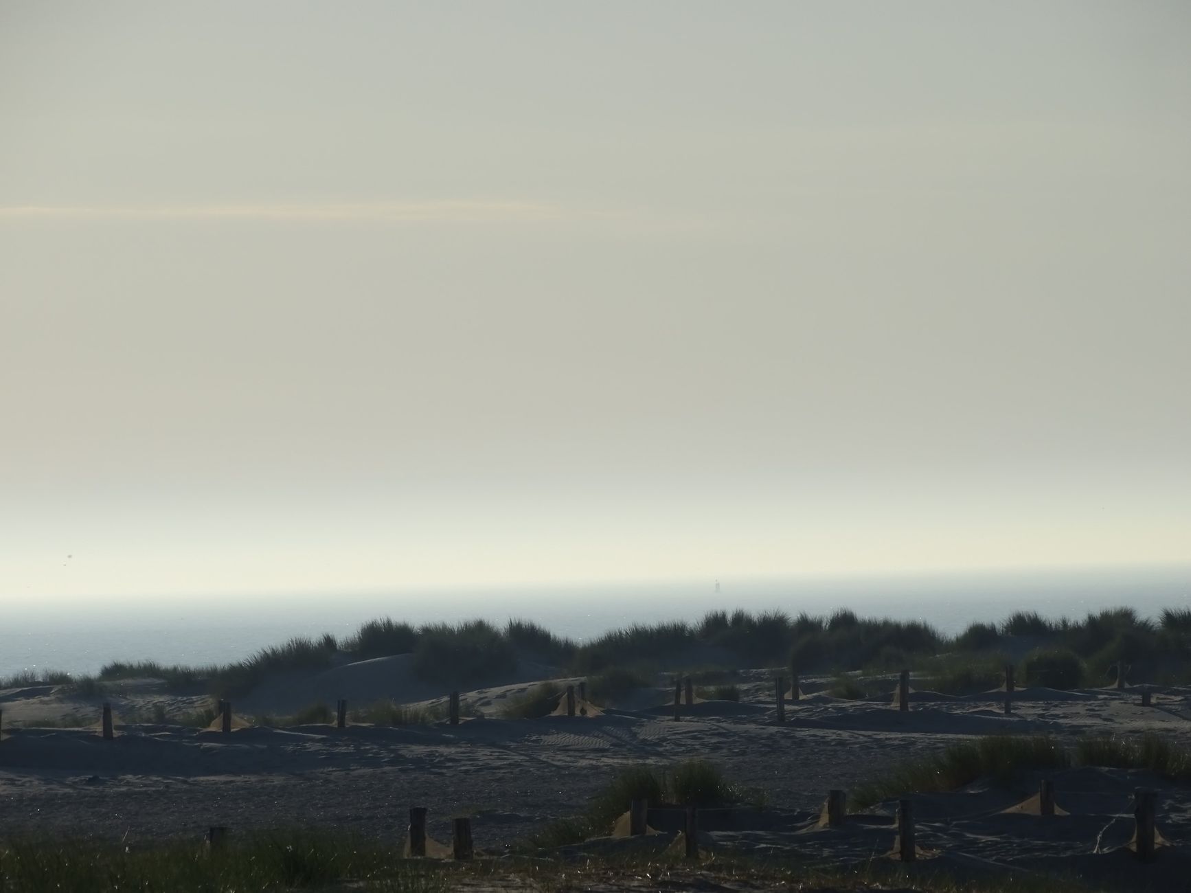 Una playa de dunas al amanecer