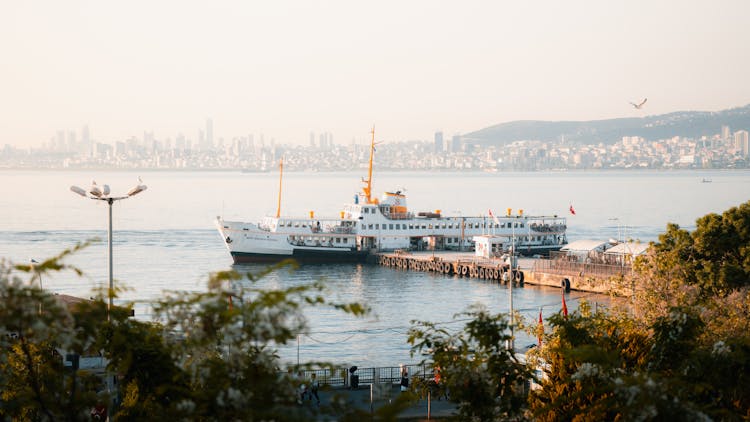 Cruise Ship In City Port