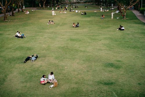 Free People enjoying a sunny day outdoors in a lush green park, relaxing under the trees. Stock Photo