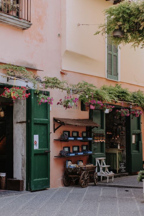 Free Quaint streetfront shop with vibrant flowers and rustic decor creates a charming scene. Stock Photo