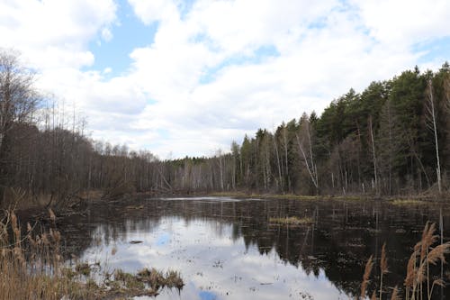 Ilmainen kuvapankkikuva tunnisteilla järvi, luonnonkaunis näköala, luonto