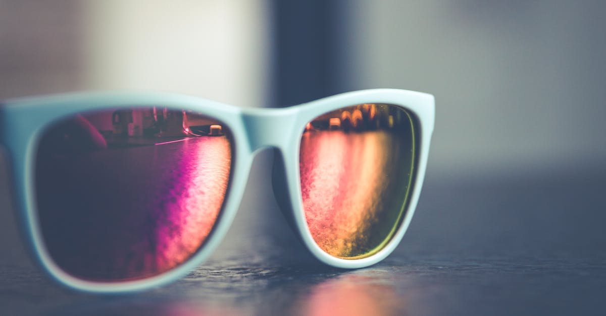 White Framed Wayfarer Sunglasses