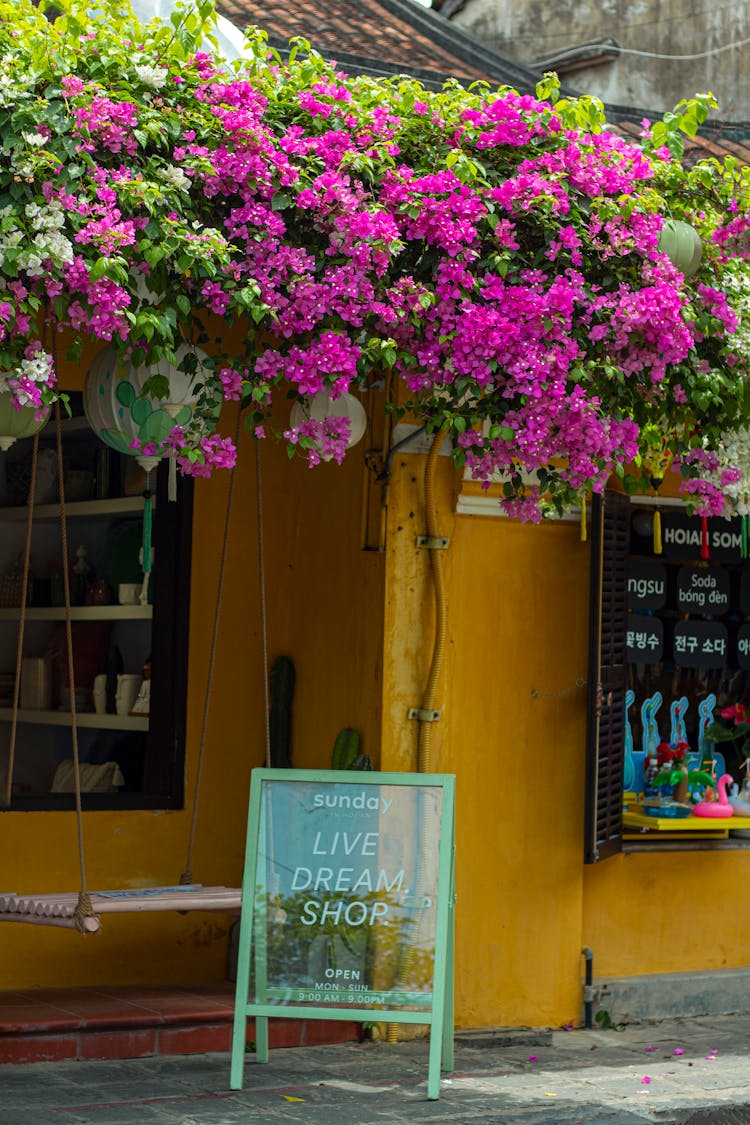 Purple Flowers On Top Of A Store