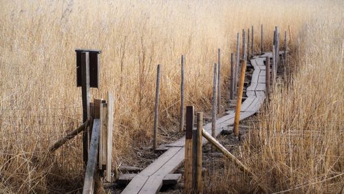 Free Explore a wooden boardwalk winding through tall dry grass in Helsinki, Finland. Stock Photo