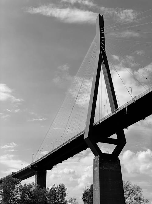 Grayscale Photo of Bridge under the Sky