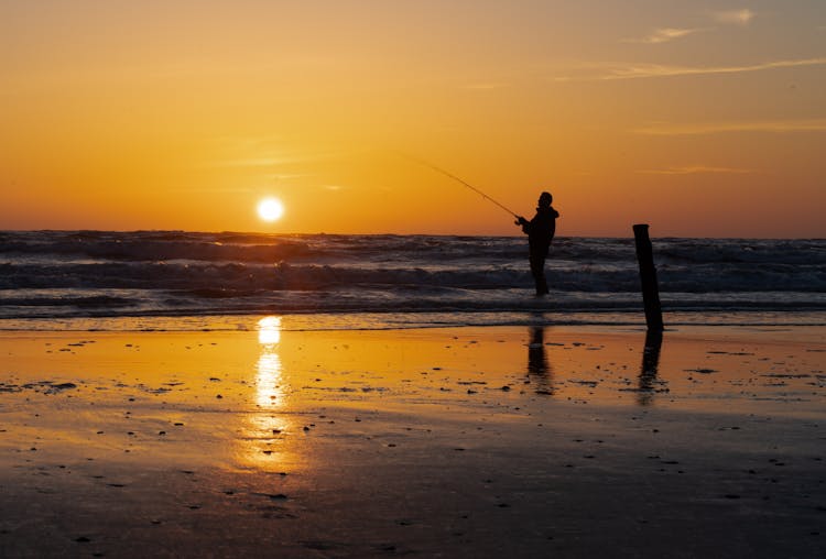 Silhouette Of Man Fishing On Beach During Sunset