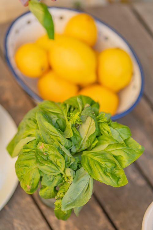 Free A fresh bunch of basil with lemons in a bowl on a rustic wooden table, evoking a Mediterranean vibe. Stock Photo