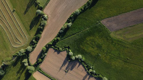 Aerial View of Fields Separated by Trees