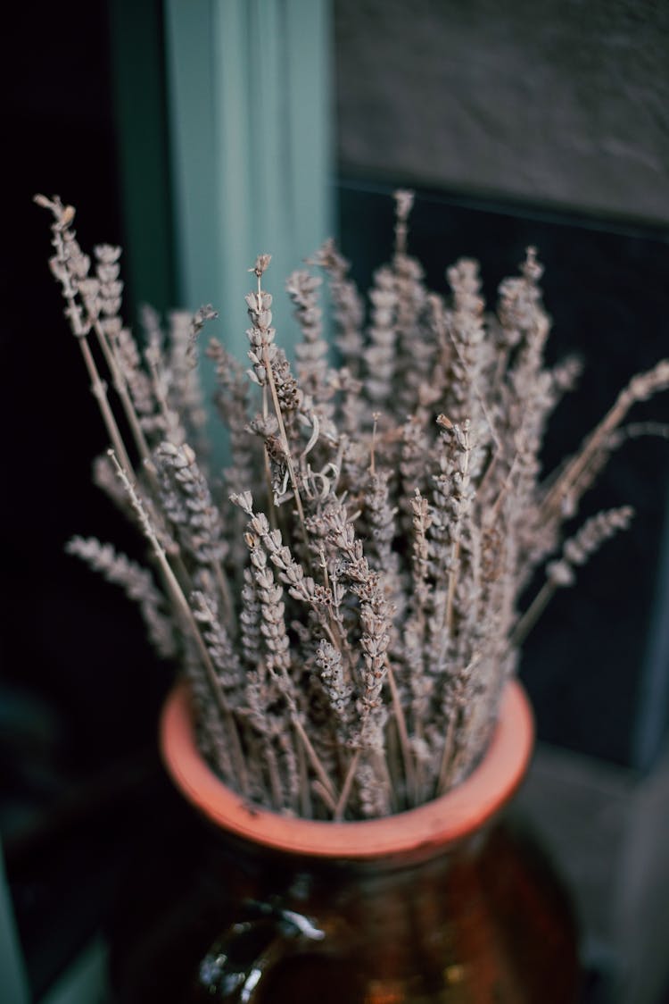 Flowers In Pot