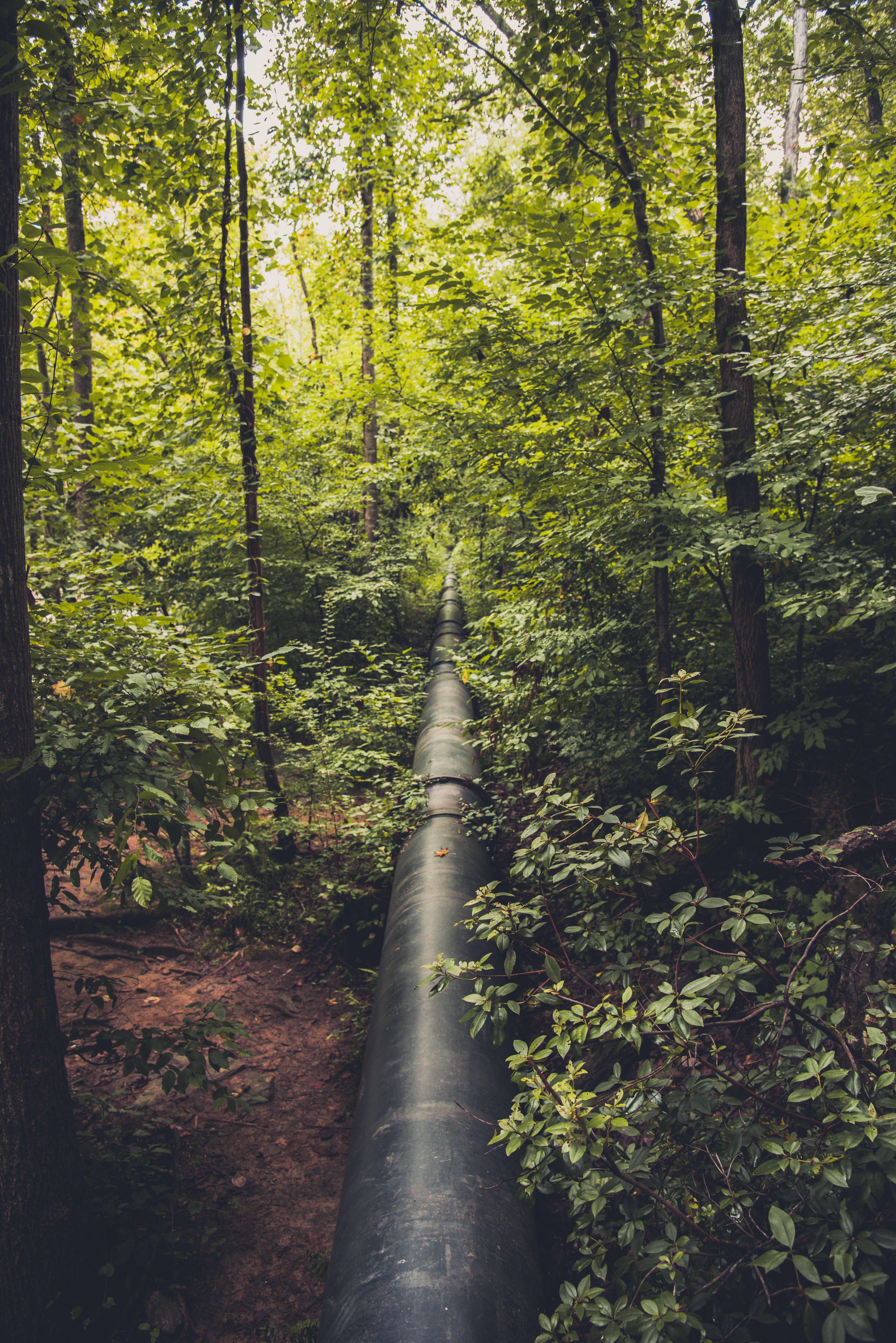 How Web Scraping Works: A Plain-English Guide for Enterprise Teams