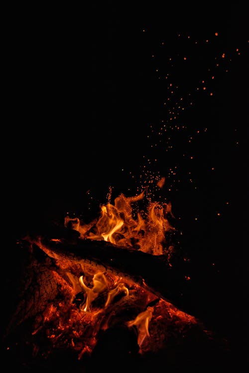 Základová fotografie zdarma na téma detail, hořící oheň, ohniště