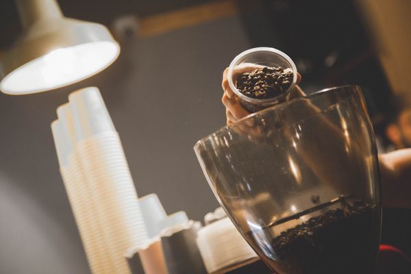 A barista fills a grinder with fresh coffee beans in a bustling café setting.