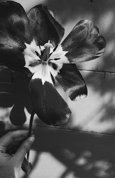 Image by Tamara Elnova