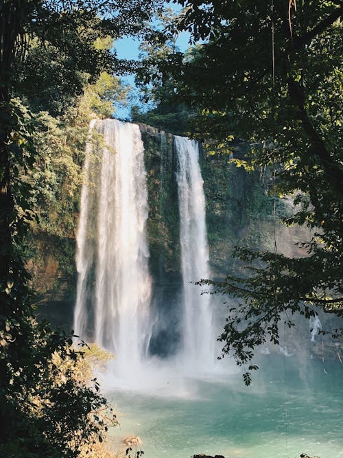 Foto profissional grátis de cachoeira, cênico, floresta