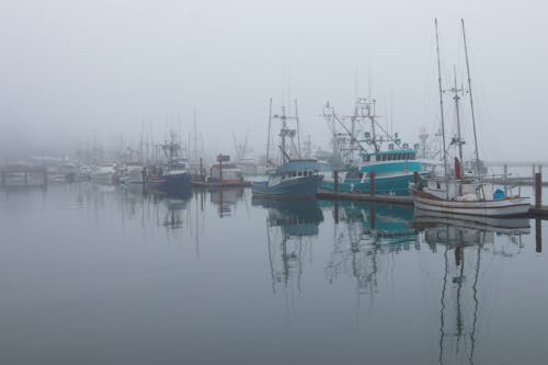 Fotos de stock gratuitas de barcos, neblina, niebla