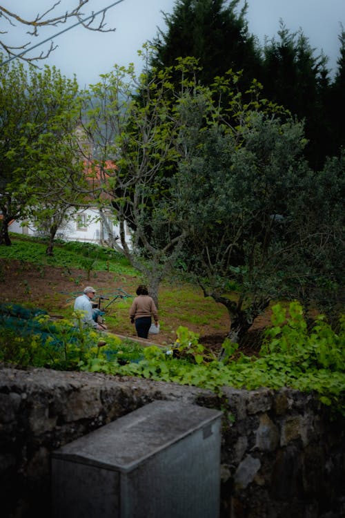 Relaxing in nature