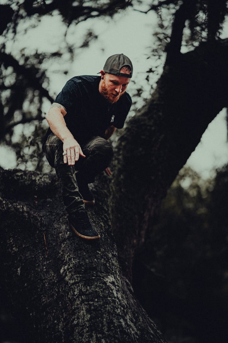 Bearded Man Climbing Tree