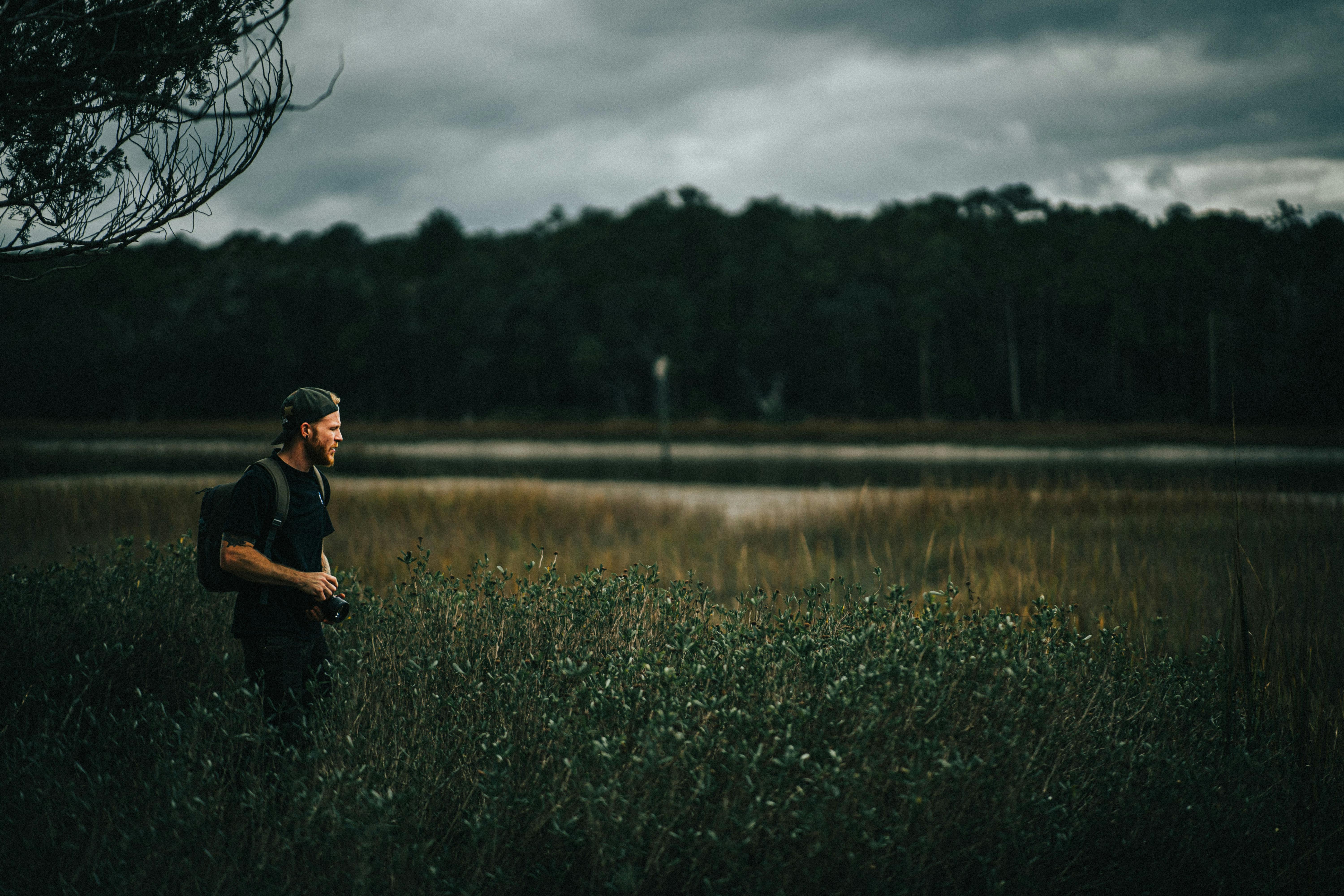 Explorando la vida salvaje a trav&eacute;s del objetivo