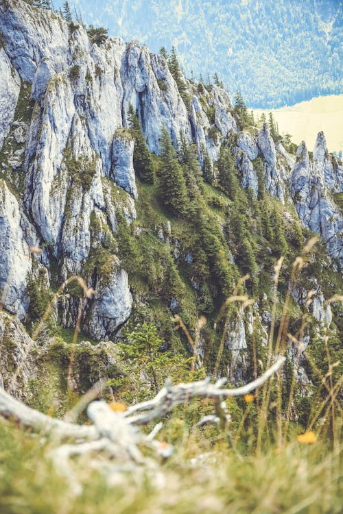 Fotobanka s bezplatnými fotkami na tému Alpy, extrémny terén, hora