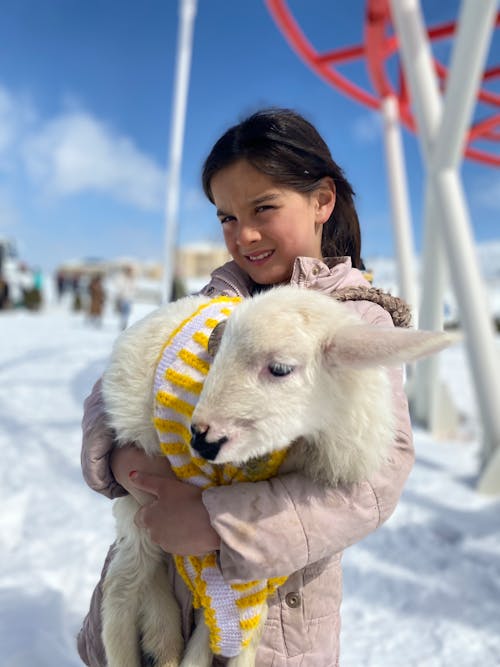 A Girl Holding a Sheep