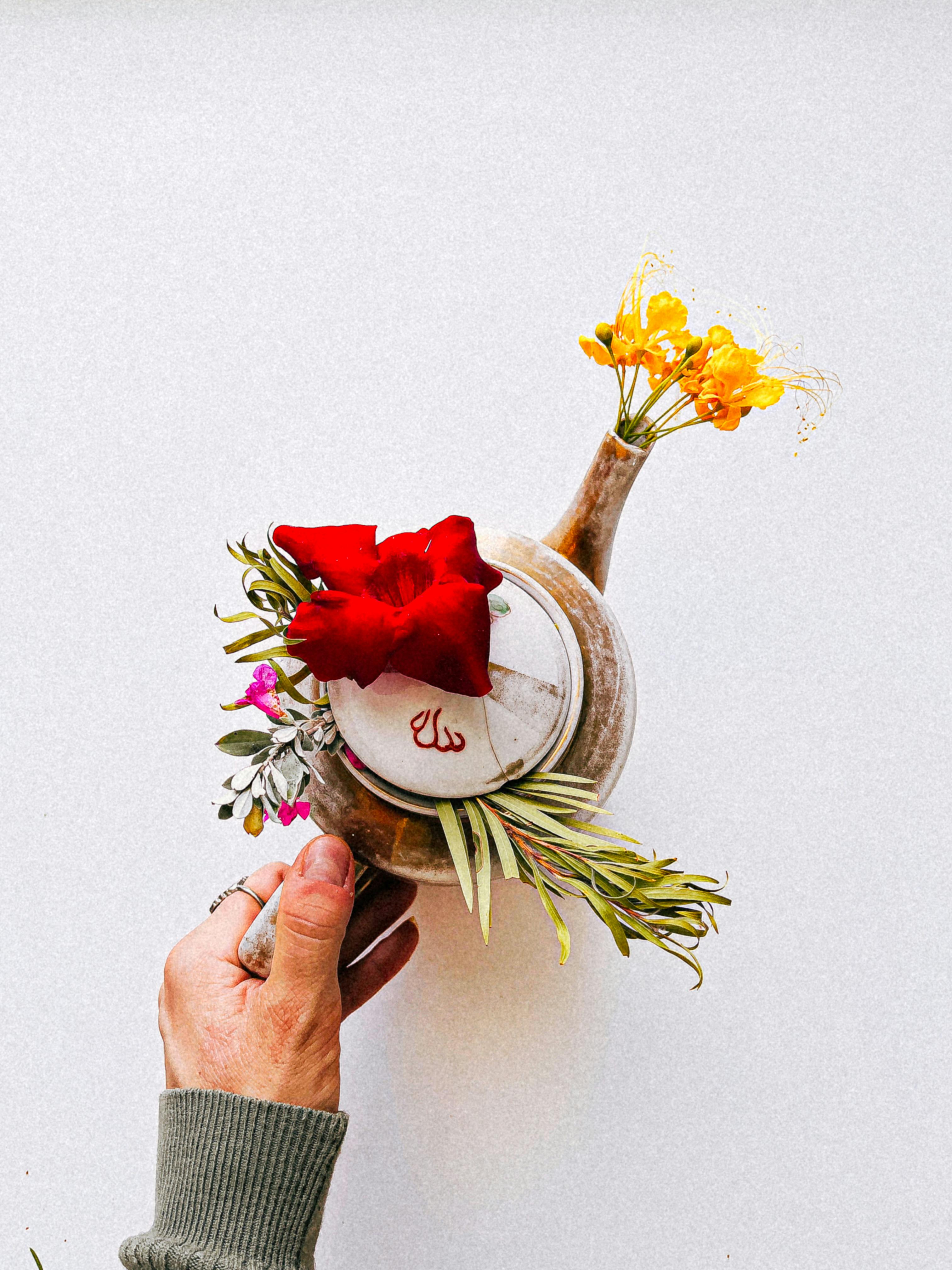 What is the fattest red meat?