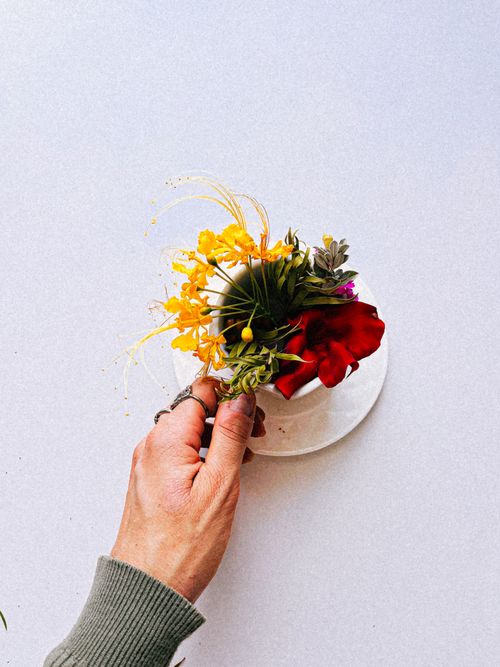 Free Hand holding a colorful floral arrangement in a cup on a bright white surface. Stock Photo