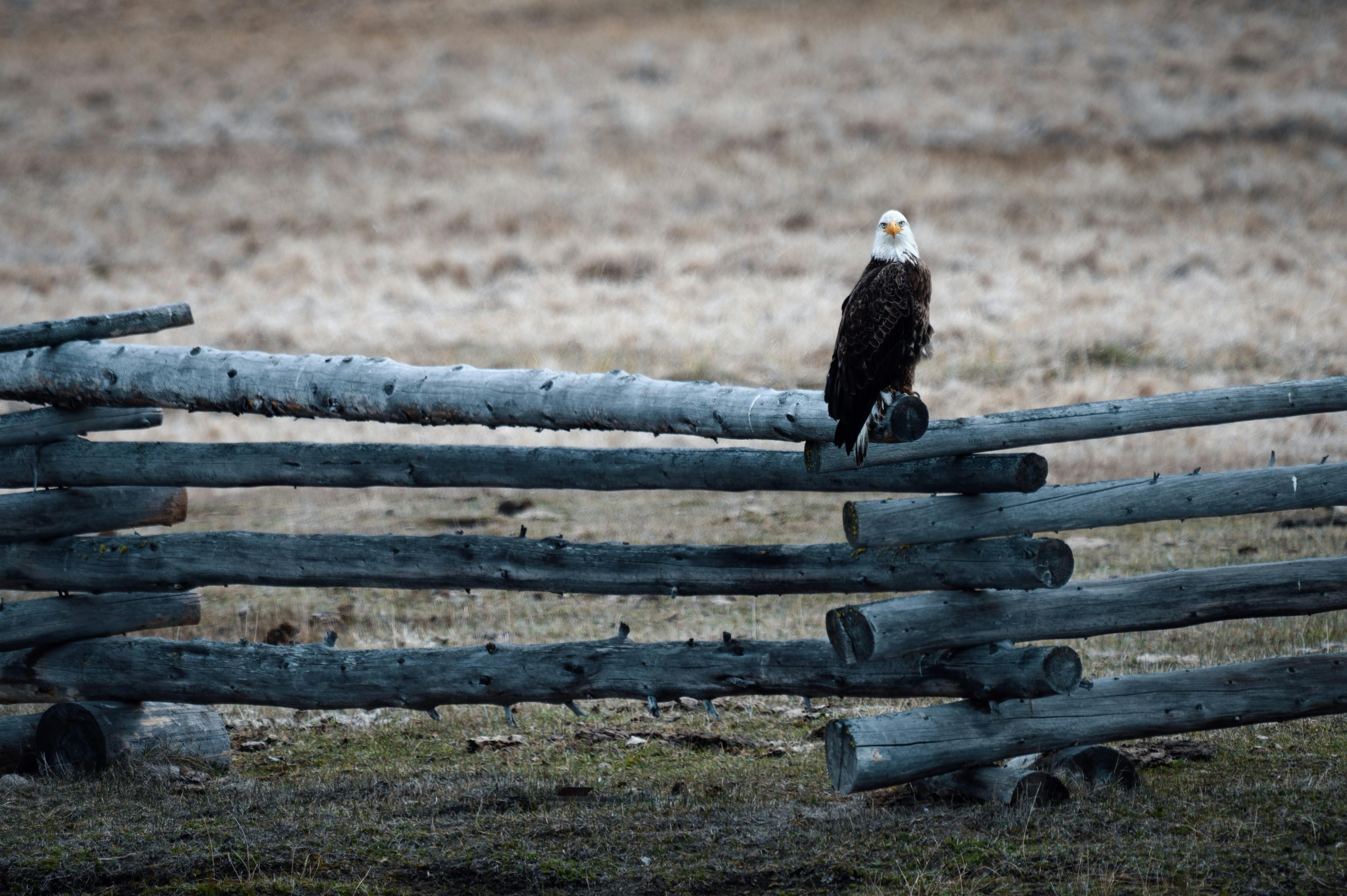 ECO 401 ECO nomics By David Begg Stanley Fischer And Rudiger Dornbusch