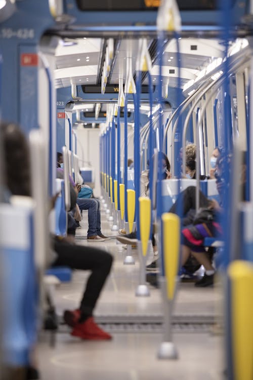 Foto profissional grátis de andar a cavalo, dentro de casa, ônibus