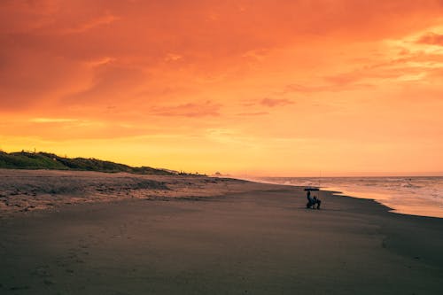 Free Silhouette of Person and Dog Sitting on Beach during Sunset Stock Photo