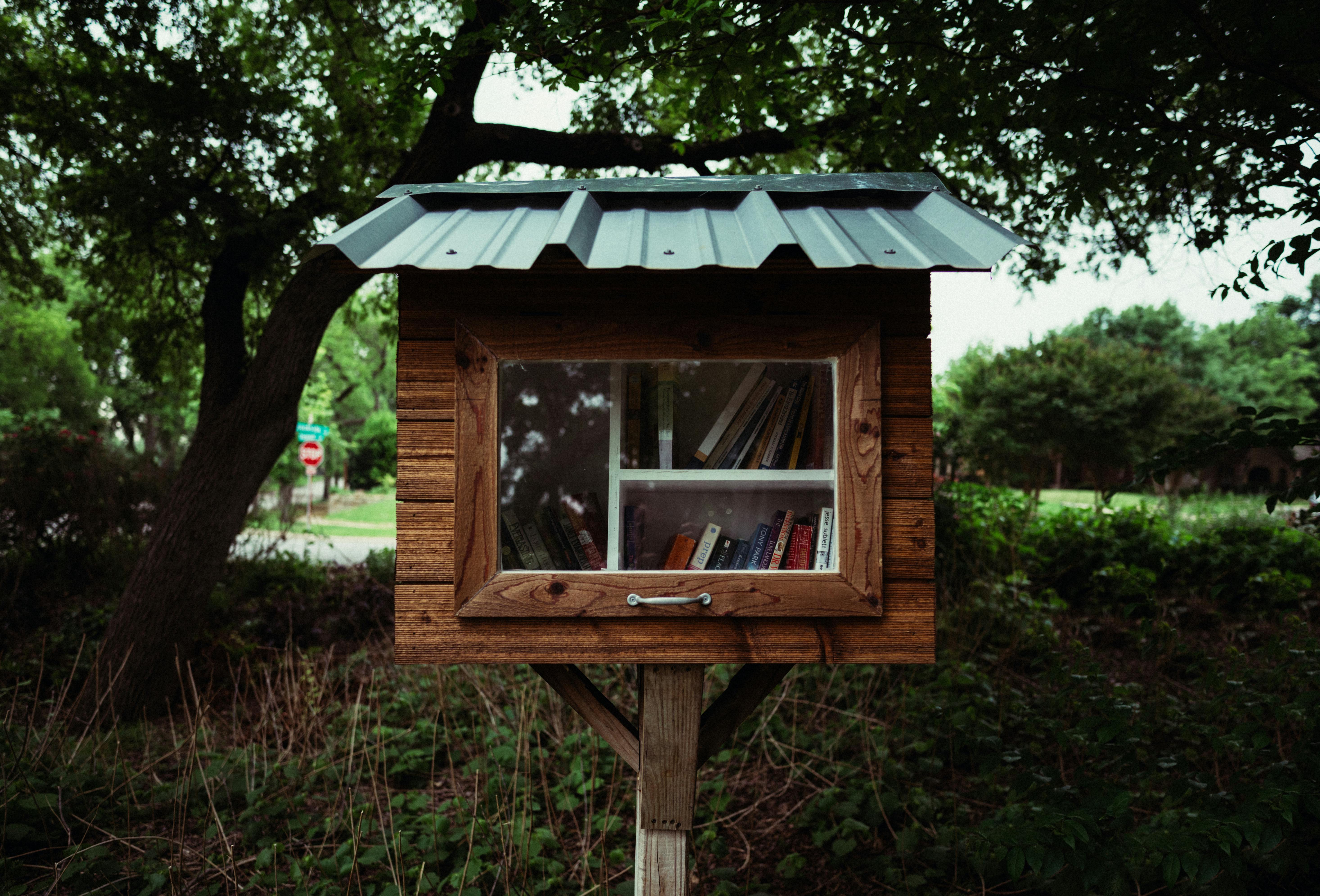 Little Free Library Filled With Books In A Community Setting