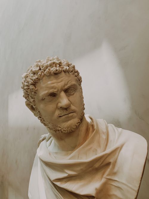 Free Expressive marble bust sculpture with curly hair displayed in an art gallery. Stock Photo