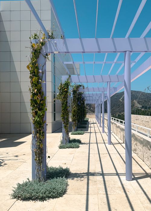 Free Contemporary pergola with climbing plants casting shadows under a clear sky in Los Angeles. Stock Photo