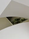 Leaves in Hole in Ceiling