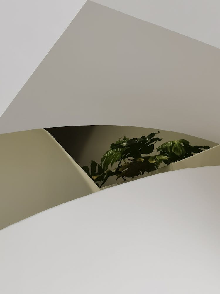 Leaves In Hole In Ceiling