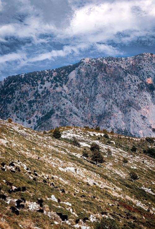 Free Majestic mountain landscape with lush greenery and dramatic cliffs in Vlorë County, Albania. Stock Photo