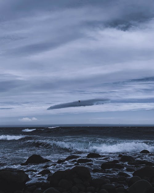Free Gratis lagerfoto af bølger, hav, kyst Stock Photo