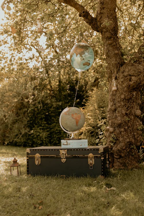 Fotos de stock gratuitas de árbol, esfera, globo