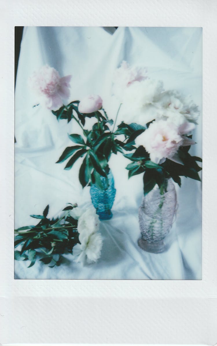 Polaroid Photo Of Flowers In Vases