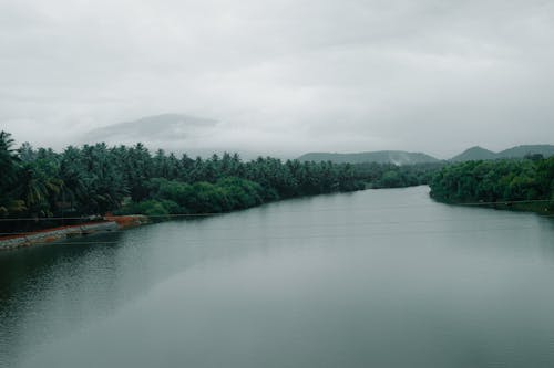 강, 경치, 박무의 무료 스톡 사진