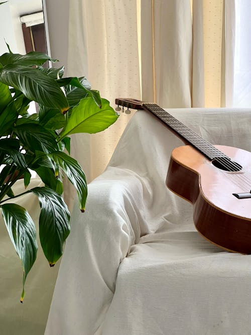 Gratis Fotos de stock gratuitas de guitarra acústica, instrumento musical, sofá Foto de stock