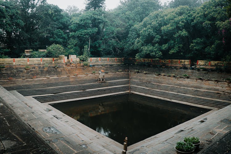 Square Pond Among Tree