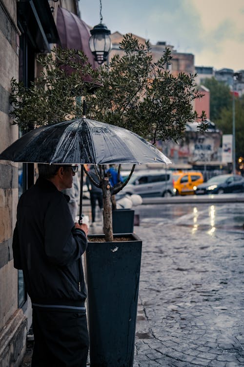 Gratis arkivbilde med årstid, by, byer