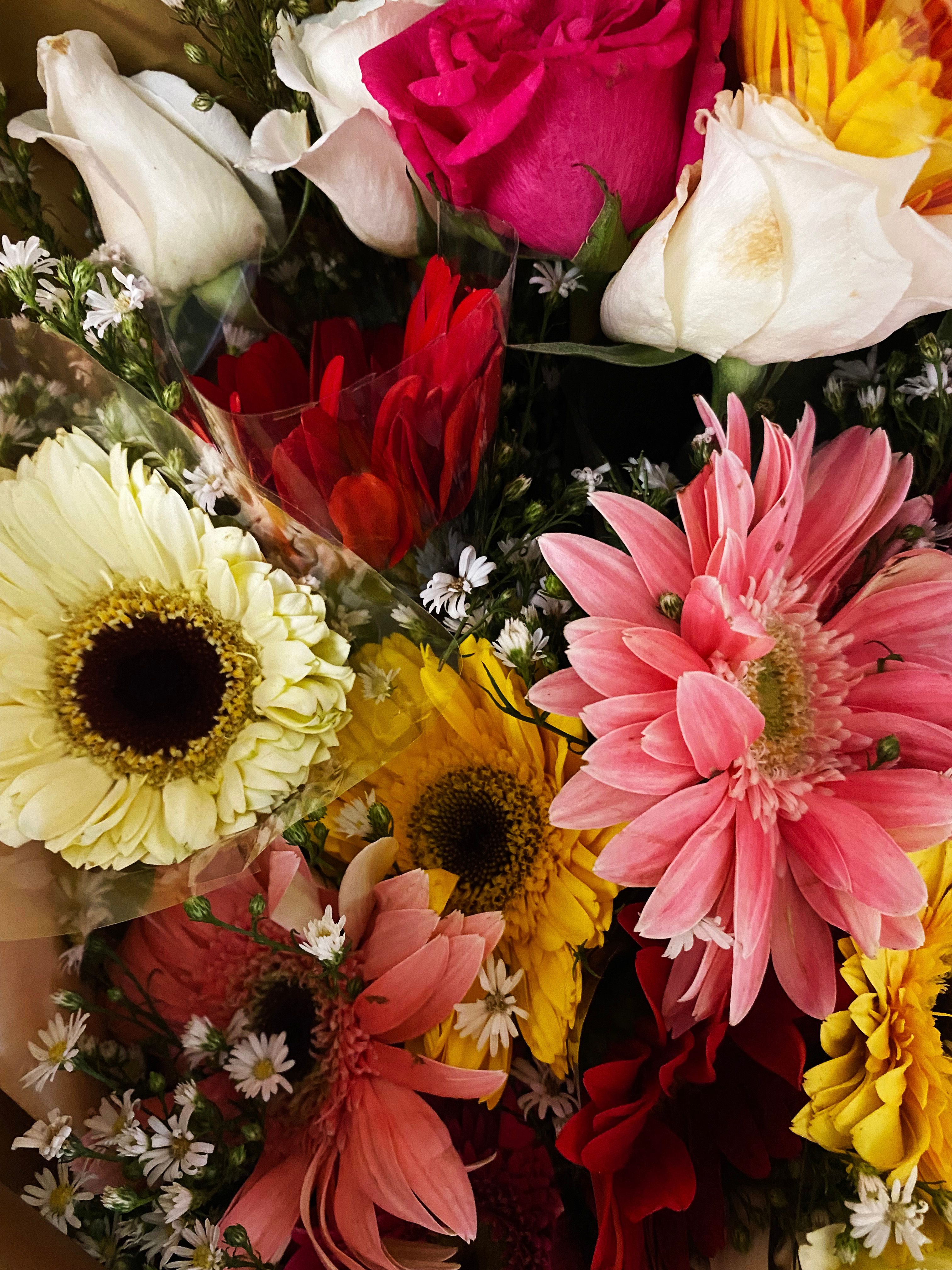 Assorted seasonal flowers close-up