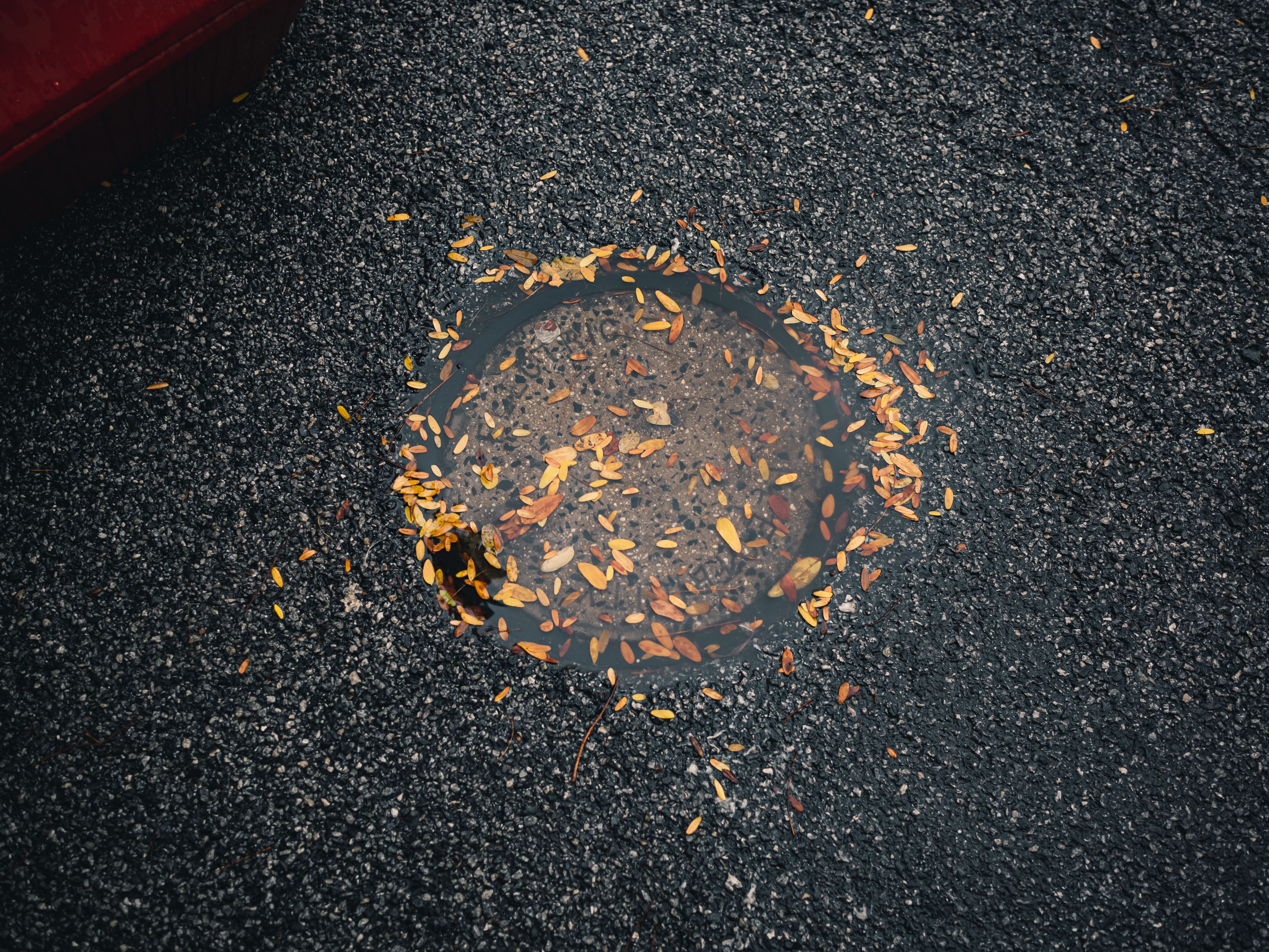 Storm Drain Backup: Causes and What to Do