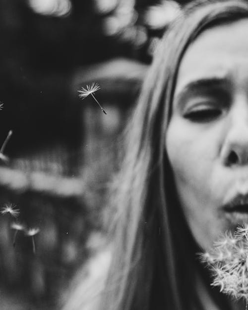 Free Grayscale Shot of Woman Blowing Dandelion Seeds Stock Photo