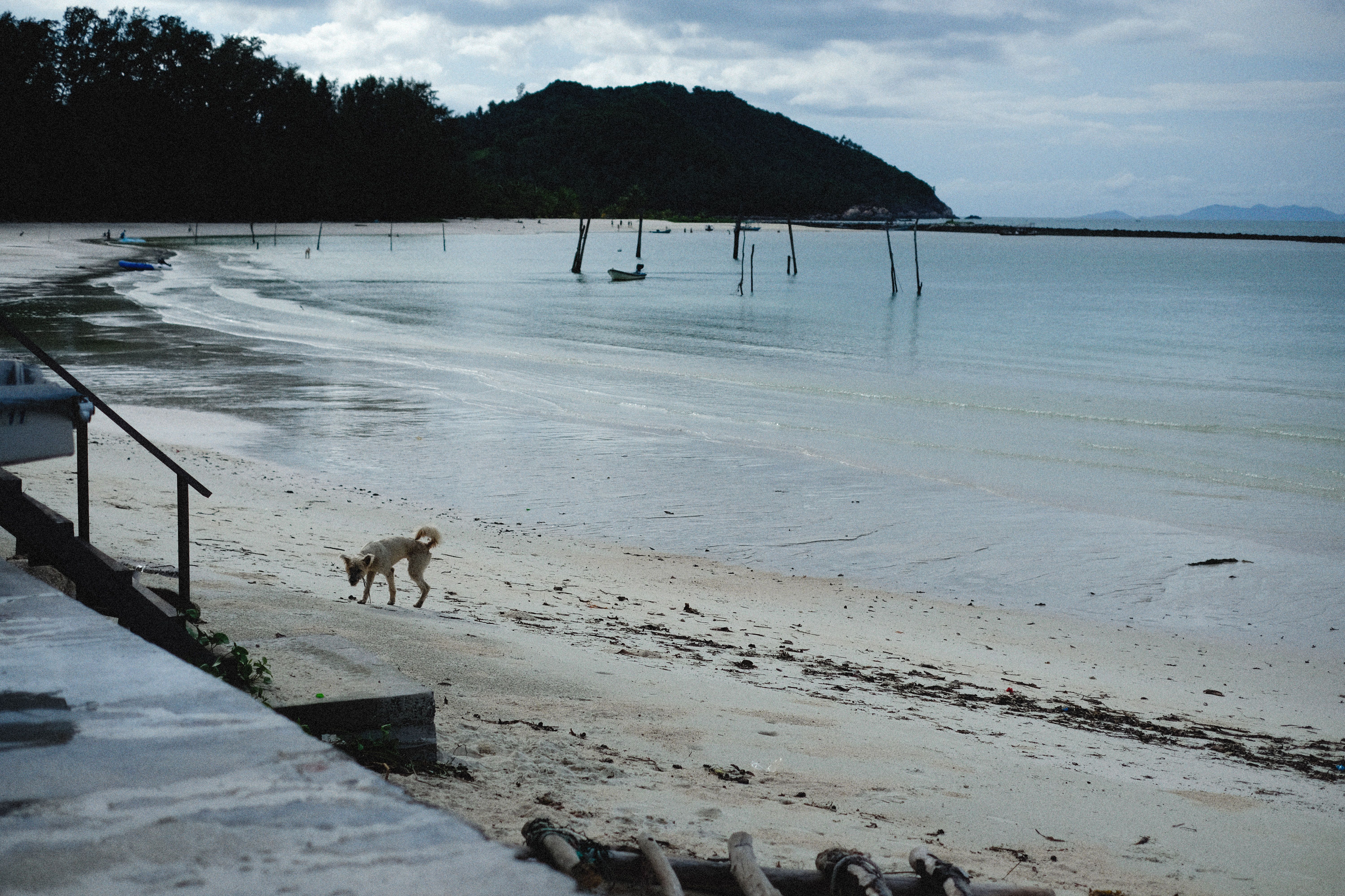 Cockerill Bay Beach view 2