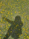 Yellow and Black Heart Shaped Petals on Ground