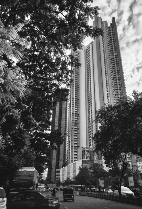 Free Towering skyscrapers surrounded by trees in a black and white Mumbai cityscape. Stock Photo