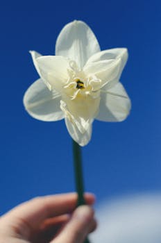 Image by Tamara Elnova