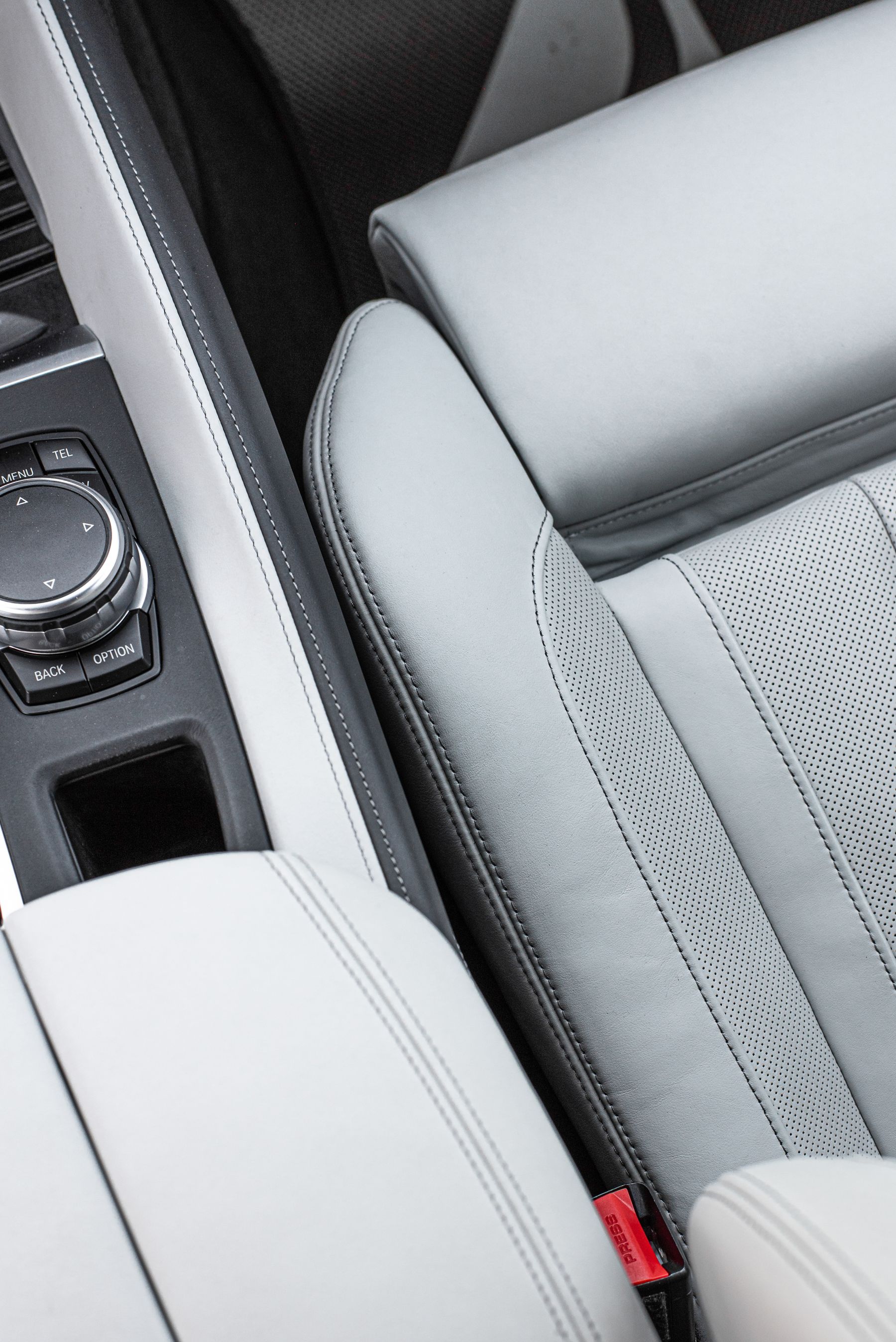 Premium leather vehicle interior